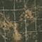 Wwes Convertible Camo Pant Wwes Seasonal