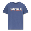 Established 1973 Embroidery Logo Tee